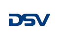 DSV logo